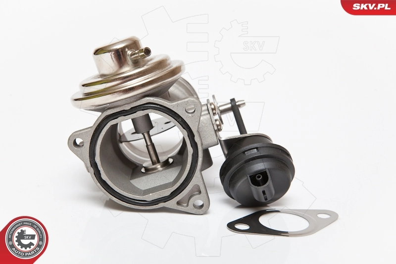 EGR Valve